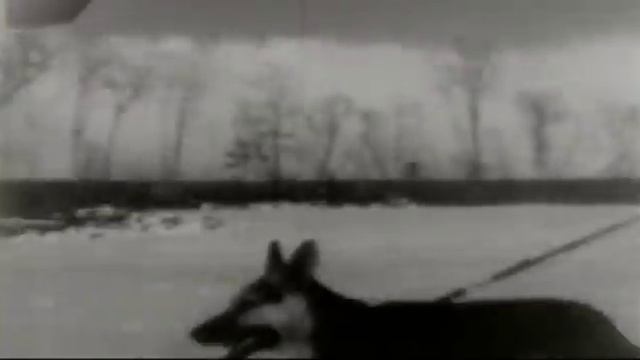 Поезд Воркута - Ленинград смотреть онлайн