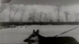 Поезд Воркута - Ленинград