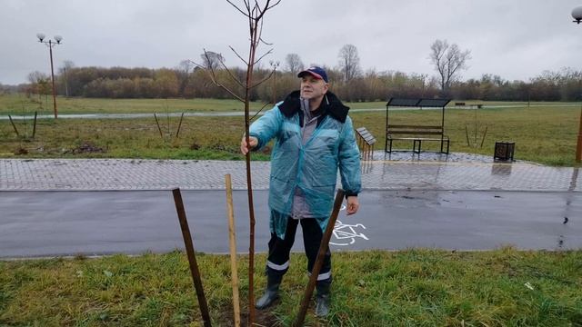 субботник 28 смотреть онлайн