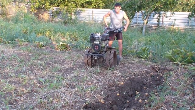 Копаем картофель смотреть онлайн