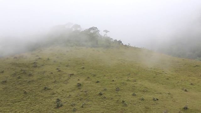 [Sri Lanka] Horton plains National Park смотреть онлайн