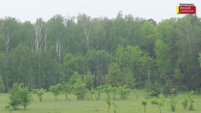 Природно-заповідних об'єктів на Чернігівщині стало більше: які парки та об'єкти додалися смотреть онлайн