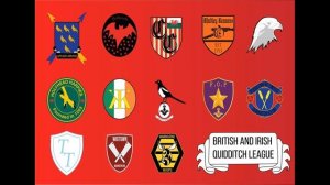 Пушки Педдл // История команды по квиддичу // Любимая команда Рона Уизли