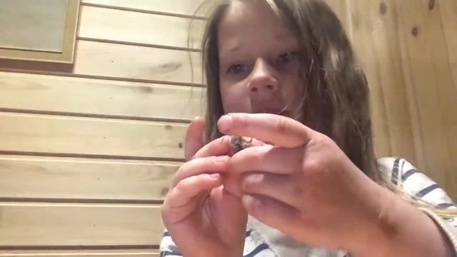 Обзор на майского жука смотреть онлайн