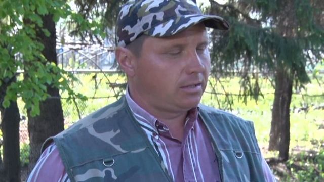 Как выращивают тополя в Ульяновске смотреть онлайн