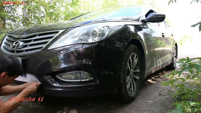 Защита радиатора HYUNDAI GRANDEUR V 2011-н.в (Хром) - strelka11.ru смотреть онлайн