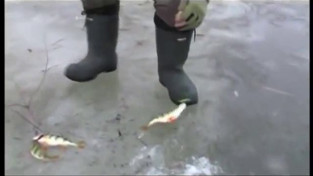 Зимняя рыбалка в Астрахани - Дельта Волги. смотреть онлайн