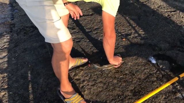 Спиннинговая рыбалка на Каспии смотреть онлайн