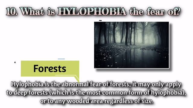 PHOBIAS TRIVIA QUIZ-20 QUESTION AND MULTIPLE CHOICE смотреть онлайн