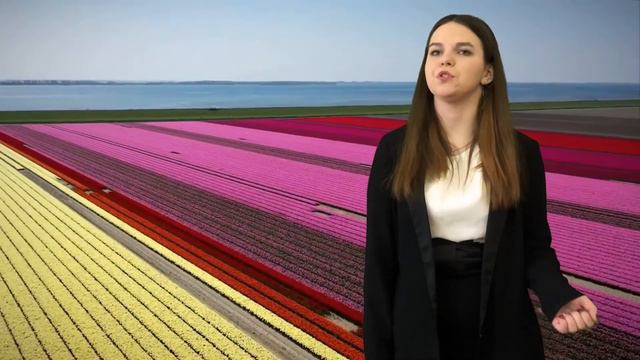 "ВидеоСтихиЯ" СШ №1 г. Мозырь смотреть онлайн