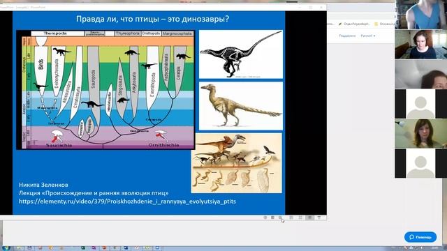 Установочная лекция смотреть онлайн