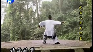 Мастер Ван Липин (王理平) демонстрирует Удан ляньхуань чжан (武当八卦连环掌).