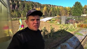 Осенние хлопоты.  Готовимся к холодам