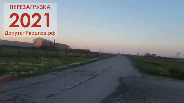 Трупы животных селе Устьянцево Барабинского района прямо на окраине деревни! смотреть онлайн