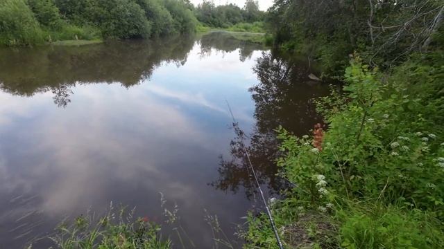 Попутная рыбалка #5. Судак - плюс, виб - минус.