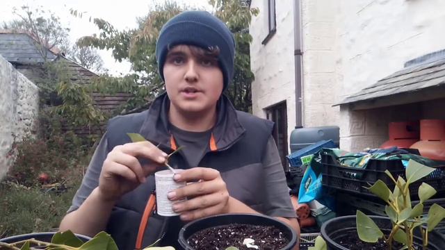 Propogation Test: Part 1 смотреть онлайн