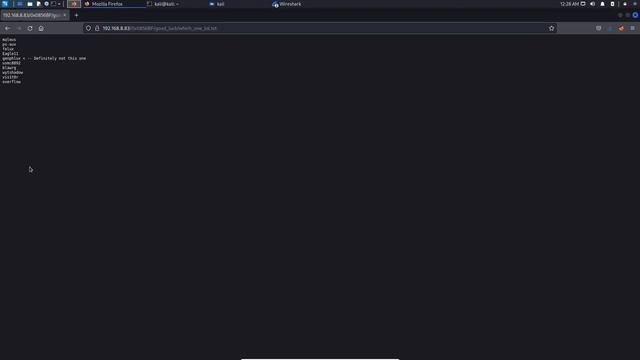 Troll 1 VulnHub Walkthrough in Hindi/Urdu [2022] - Boot2Root смотреть онлайн