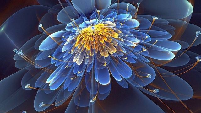 Зачем мы читаем книги по йоге и о духовном развитии? смотреть онлайн