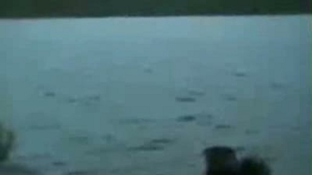 Не обижайте собак! смотреть онлайн