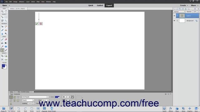 Learn How to Create Point Text in Adobe Photoshop Elements 2022: A Training Tutorial смотреть онлайн