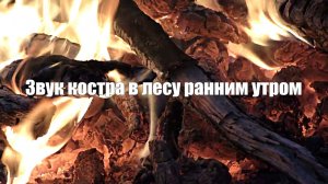 Звук костра в лесу ранним утром