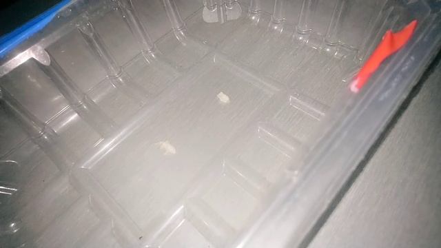 Бесплатный отсадник для мальчиков живородки. 0⃣ ???? смотреть онлайн