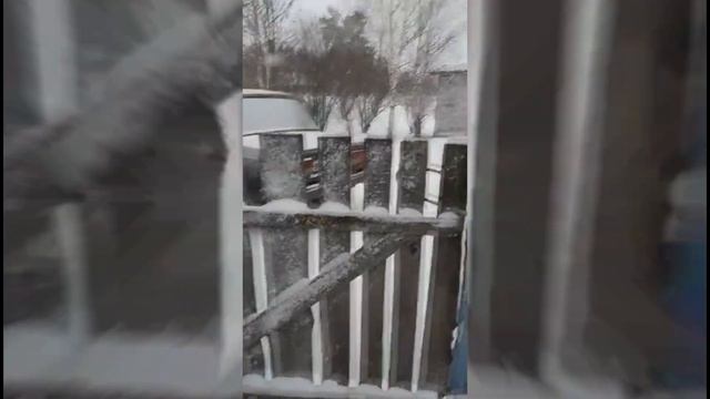 ТИХИЕ СЕМЕЙНЫЕ ВЕЧЕРА. УВИДЕЛИ ЛИСУ. смотреть онлайн