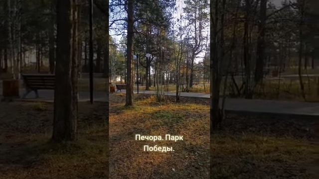 Парк Победы. Осень. Печора. Респ.Коми печорасветланаяковлева печоракоми путешествия