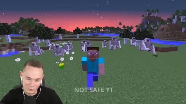 LUMEXX & PAT ZERSTÖREN MINECRAFT nach diesem Video... смотреть онлайн
