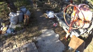 ДОРОЖКА НА СКЛОНЕ В САДУ СВОИМИ РУКАМИ