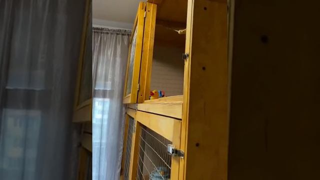 Осторожно, эротика смотреть онлайн