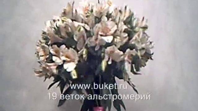 Букет из альстромерий смотреть онлайн