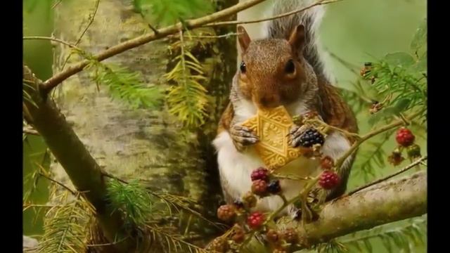 прогноз на неделю с 18 по 24 декабря 2017 смотреть онлайн