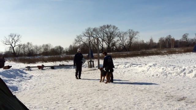 Динамит фон Эриксон