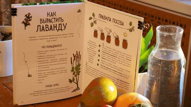 «Огород круглый год» книга от Мифа смотреть онлайн