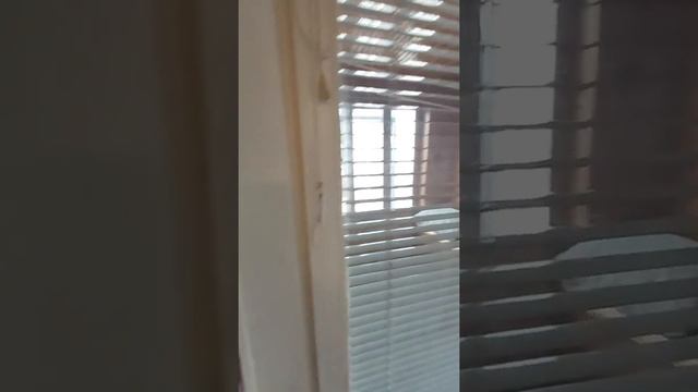 ПРОДАМ 3 КОМНАТНУЮ КВАРТИРУ НА ЖУКОВА 17 В КИЕВЕ МЕТРО ЛЕСНАЯ 3 МИНУТЫ смотреть онлайн