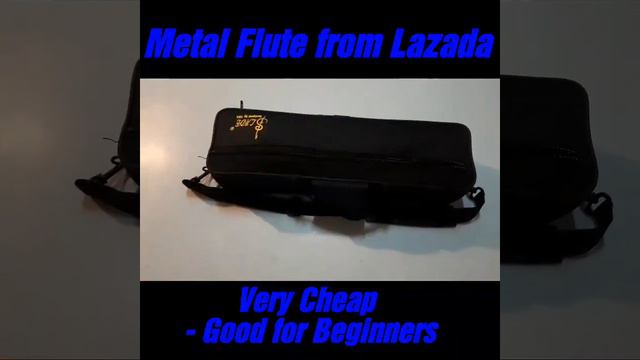 Beginner's Metal Flute from Lazada - Introduction смотреть онлайн