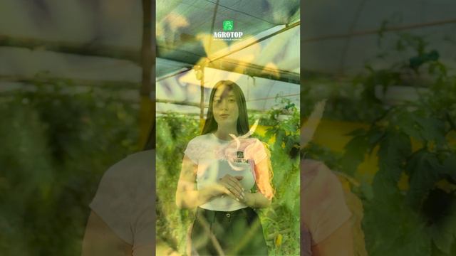 ADOB®️ Boron — это высокочистое двухкомпонентное удобрение, содержащее 11,1 % бора (B) и 5,8 % азот смотреть онлайн