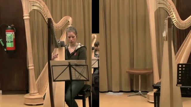 Voorspeelavond NIEUW Harp Aimée van Delden смотреть онлайн