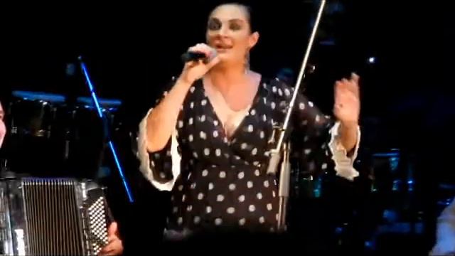 Елена Ваенга - В саду при долине (Нижний Новгород, 10.03.2014) смотреть онлайн