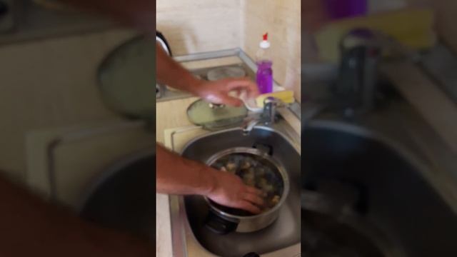 морские сувениры и еда. рапаны. смотреть онлайн