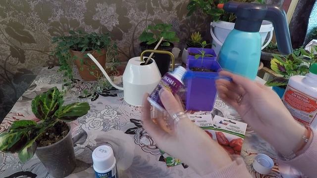 РАССАДА ПЕРЦА.ПЕРВАЯ ПОДКОРМКА ПЕРЦА.2022 смотреть онлайн