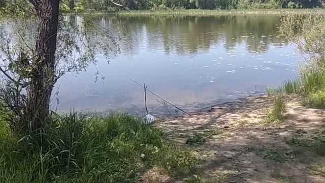 Отдых на природе 2019 смотреть онлайн