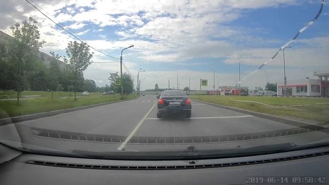 Кошка рожает