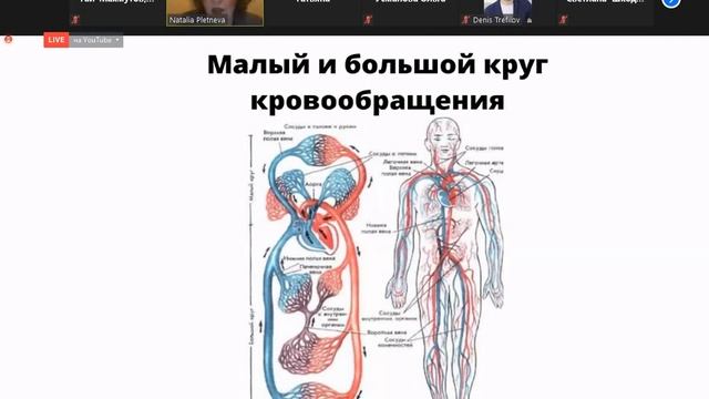 Лишний вес: почему одни худеют быстро, а другие медленно смотреть онлайн