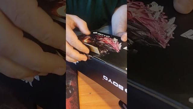 Распаковка RX6600 SOYO с Озона