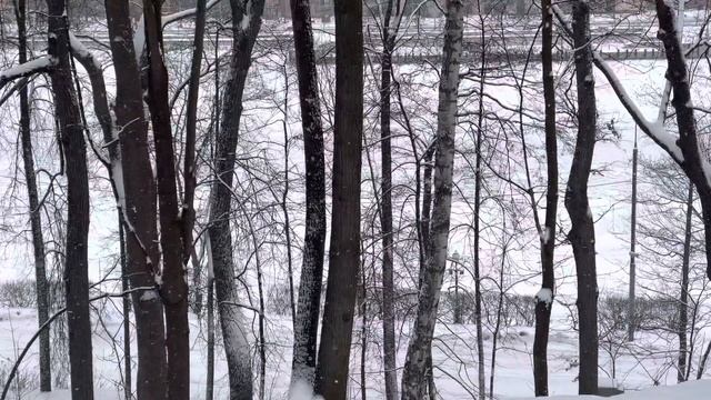 Маршрут Воробьевы горы #1 смотреть онлайн