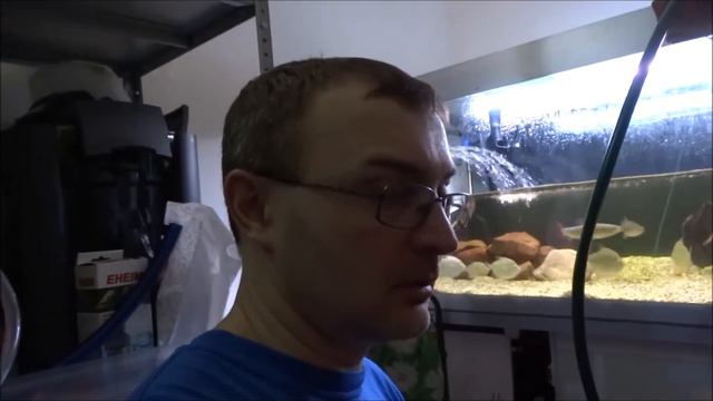 Подмена воды по графику, Eheim 2080 собирается. смотреть онлайн