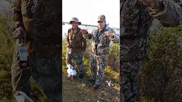 сита Хабаровск. смотреть онлайн