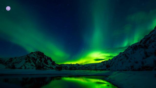 Enjoy Relaxing Piano Music • Sleep Music, Water Sounds, Relaxing Music, Meditation Music смотреть онлайн